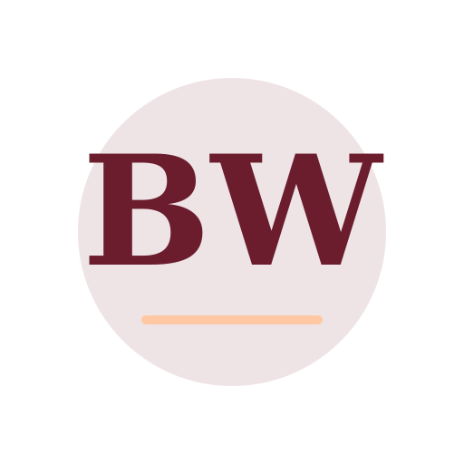 Blue Way Dryer Cleaning Services logo